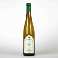  - Sauvignon Blanc 2023 - trocken Weißwein